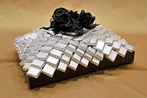 Trays