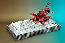 Trays