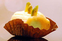 Marzipan